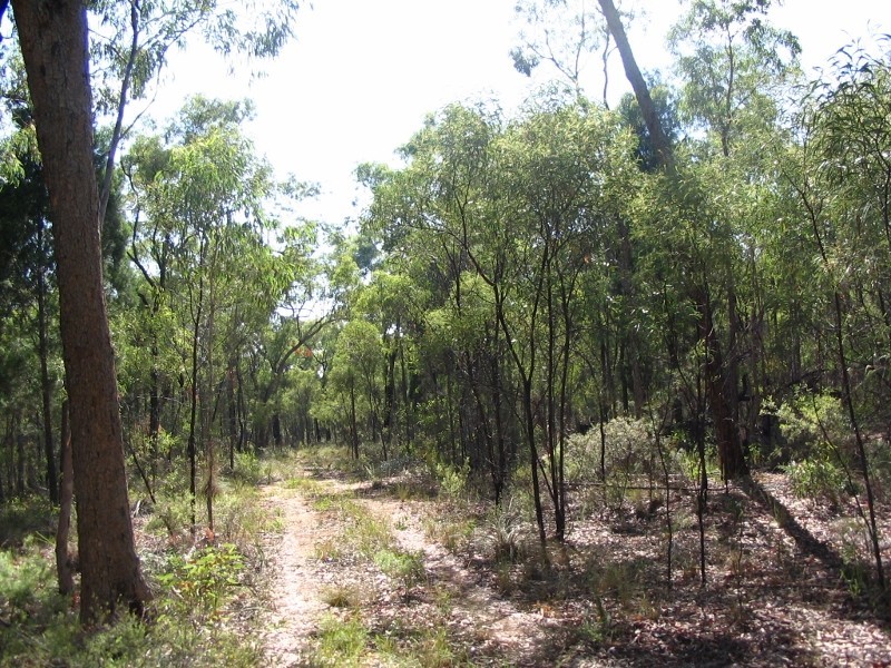 375 Quaker Tommy Road, Coonabarabran NSW 2357
