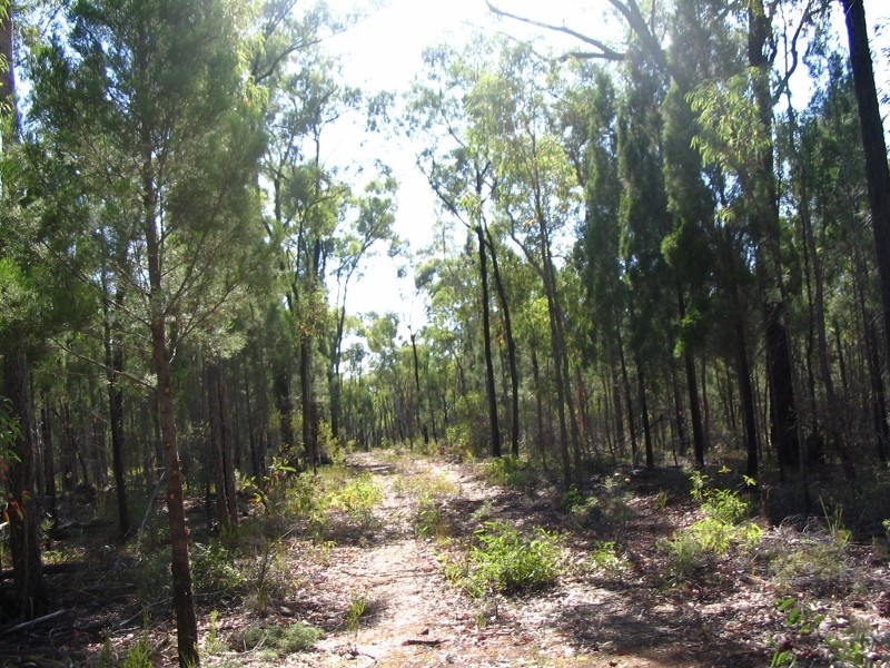 375 Quaker Tommy Road, Coonabarabran NSW 2357