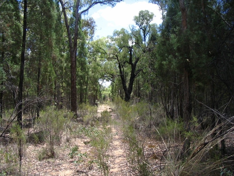 375 Quaker Tommy Road, Coonabarabran NSW 2357