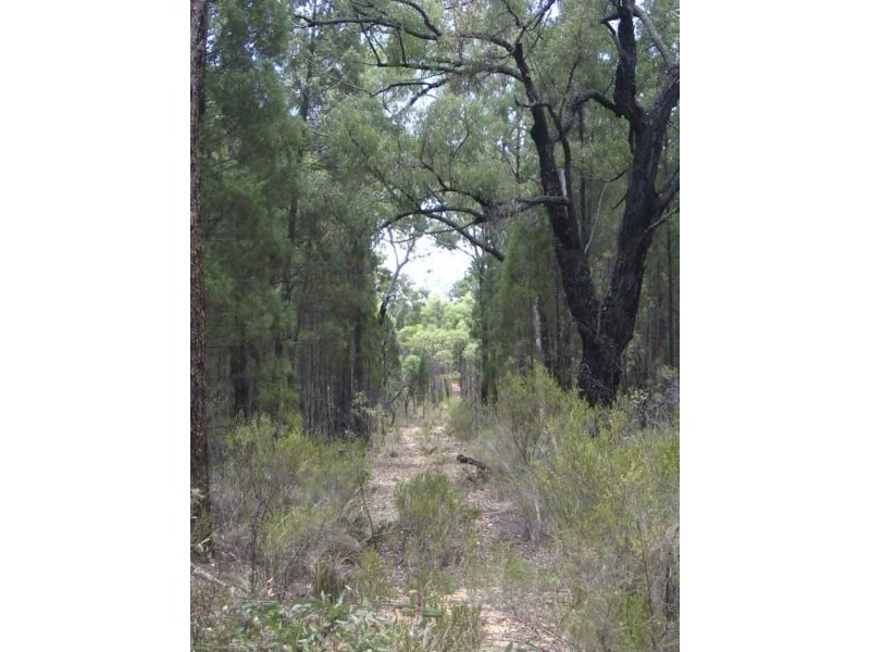 375 Quaker Tommy Road, Coonabarabran NSW 2357