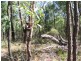 375 Quaker Tommy Road, Coonabarabran NSW 2357