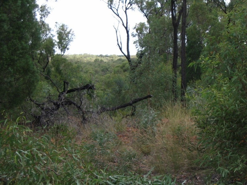375 Quaker Tommy Road, Coonabarabran NSW 2357