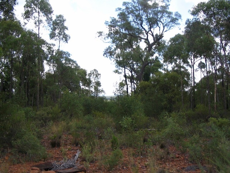 375 Quaker Tommy Road, Coonabarabran NSW 2357