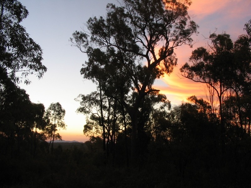 375 Quaker Tommy Road, Coonabarabran NSW 2357