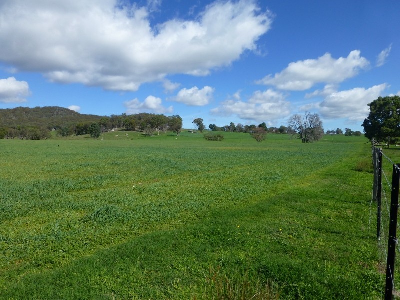 2113 Watsons Creek Road, Watsons Creek NSW 2355