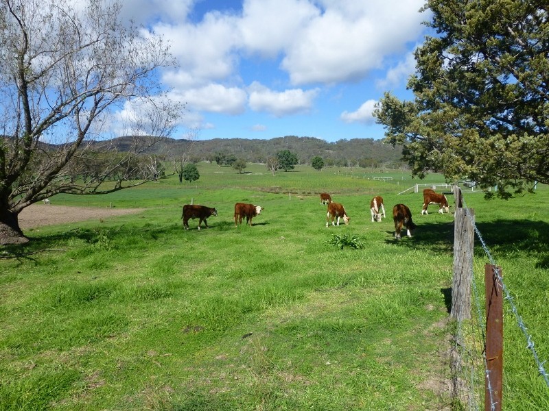 2113 Watsons Creek Road, Watsons Creek NSW 2355