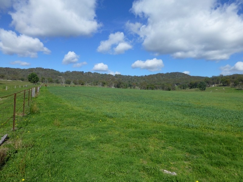 2113 Watsons Creek Road, Watsons Creek NSW 2355