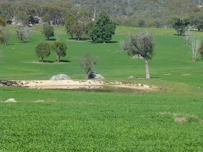 2113 Watsons Creek Road, Watsons Creek NSW 2355