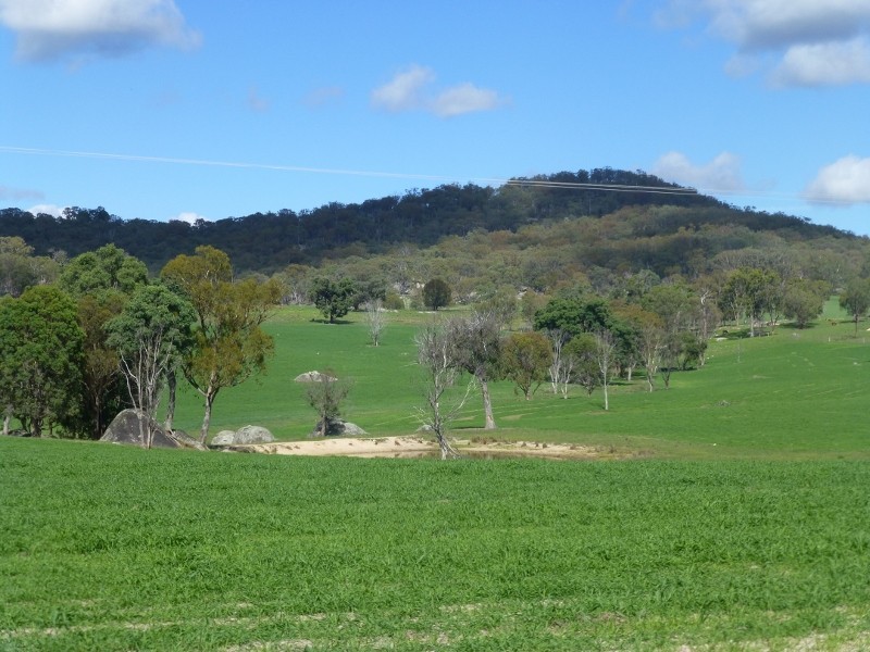 2113 Watsons Creek Road, Watsons Creek NSW 2355