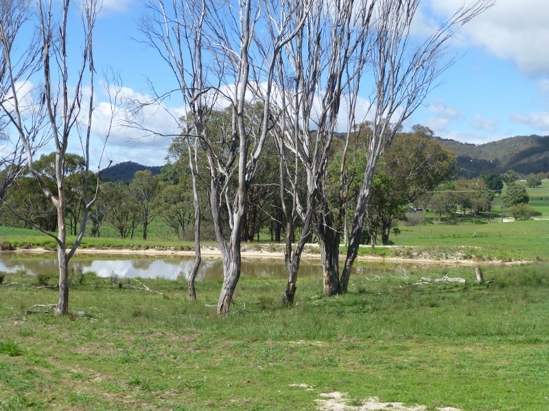 2113 Watsons Creek Road, Watsons Creek NSW 2355