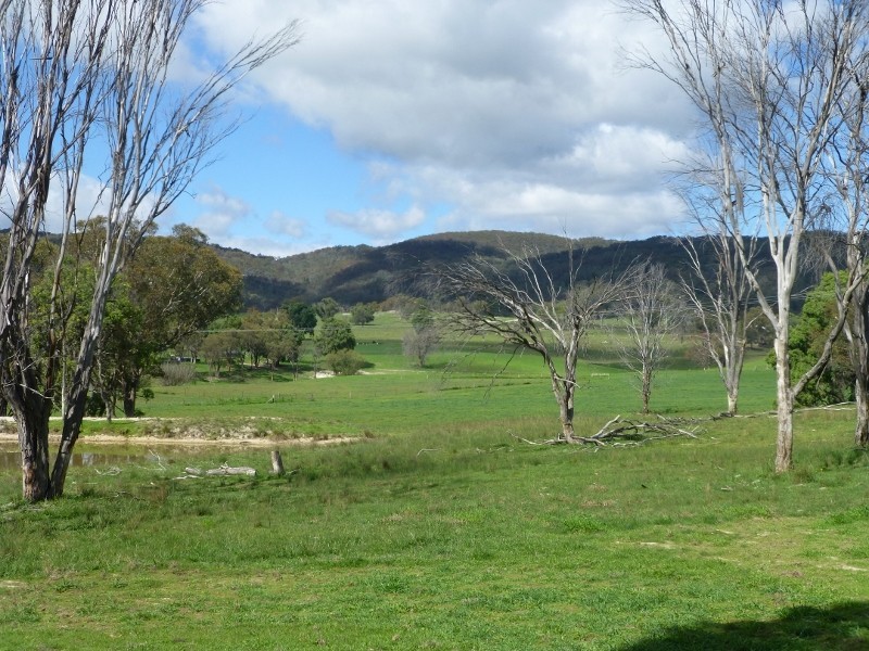 2113 Watsons Creek Road, Watsons Creek NSW 2355