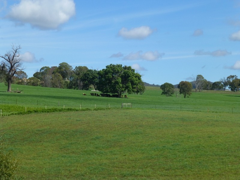 2113 Watsons Creek Road, Watsons Creek NSW 2355