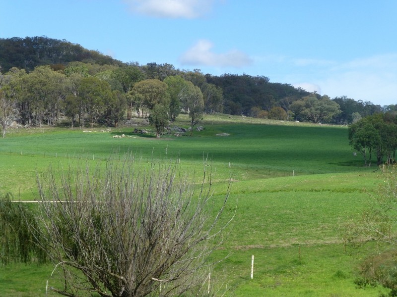 2113 Watsons Creek Road, Watsons Creek NSW 2355