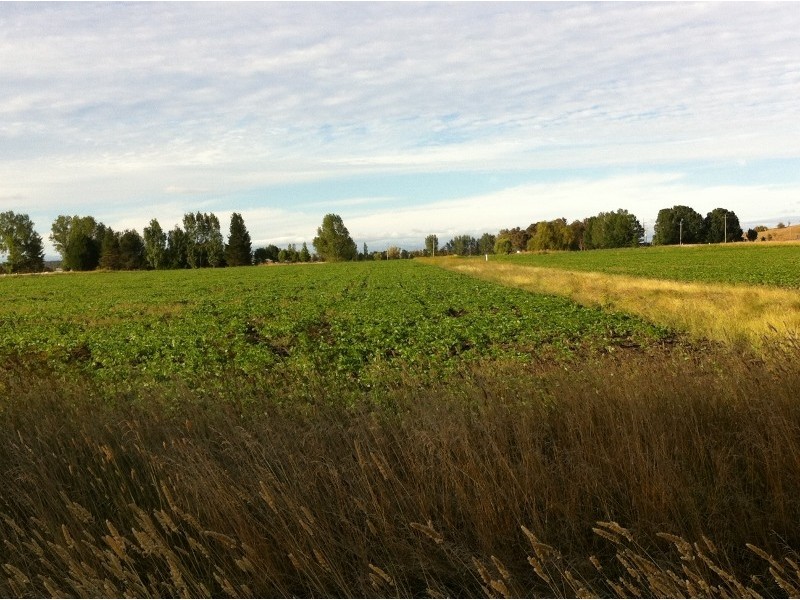 519 Grey Street, Glen Innes NSW 2370