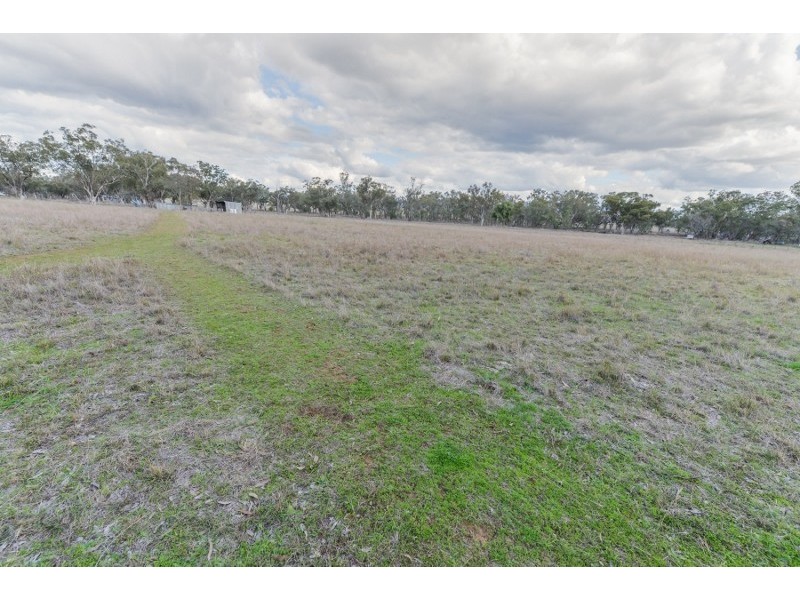 143 Skeltons lane, Tamworth NSW 2340