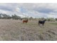 143 Skeltons lane, Tamworth NSW 2340