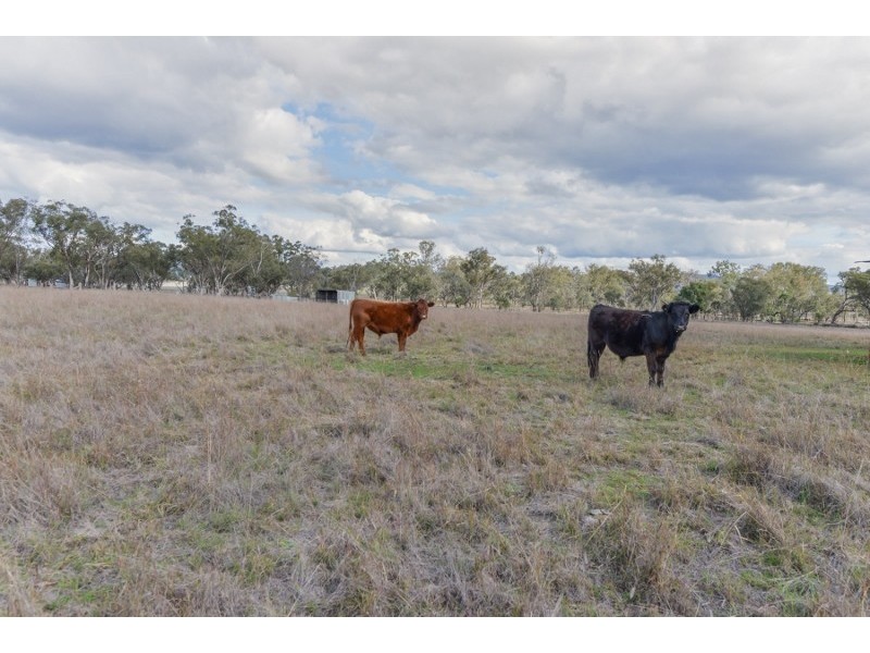 143 Skeltons lane, Tamworth NSW 2340