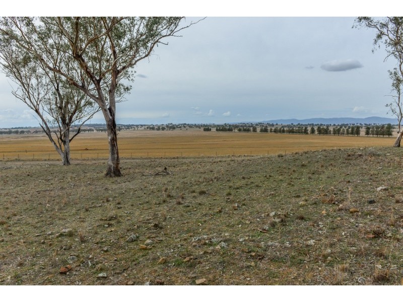 61 Dobsons lane, Winton NSW 2344