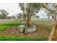 61 Dobsons lane, Winton NSW 2344