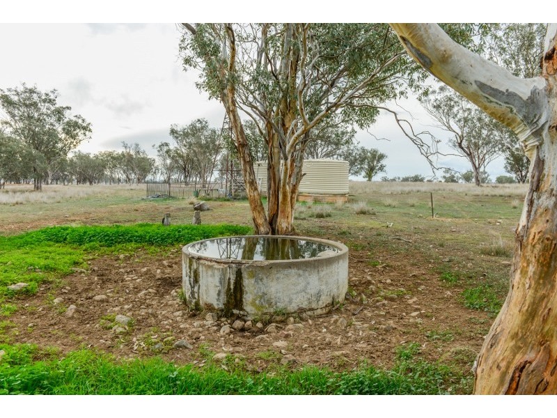 61 Dobsons lane, Winton NSW 2344