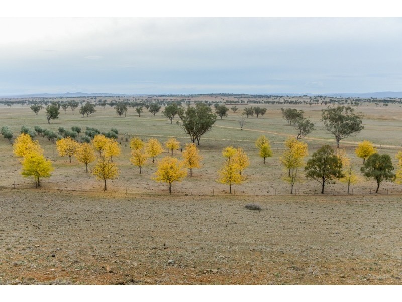 61 Dobsons lane, Winton NSW 2344