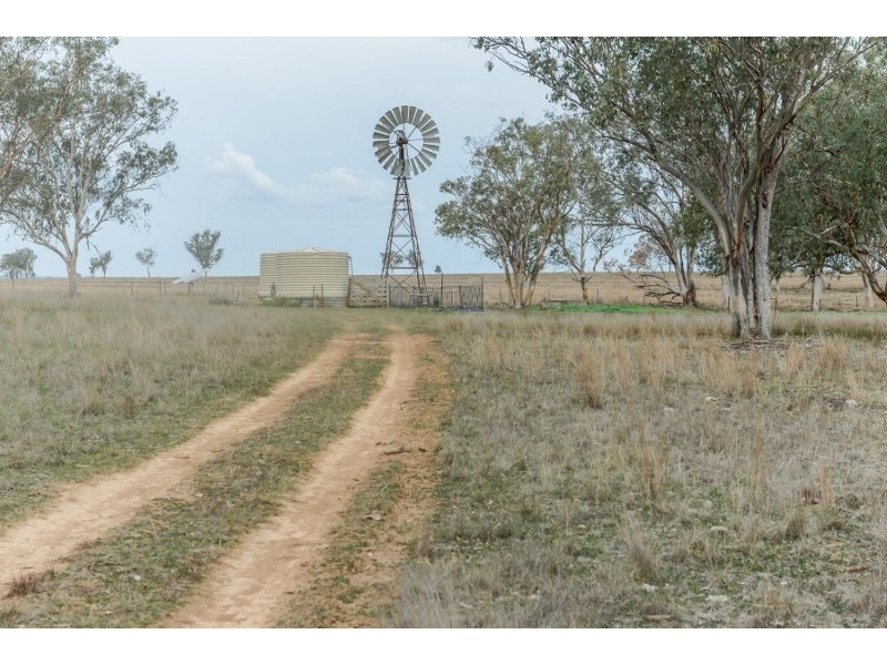 61 Dobsons lane, Winton NSW 2344