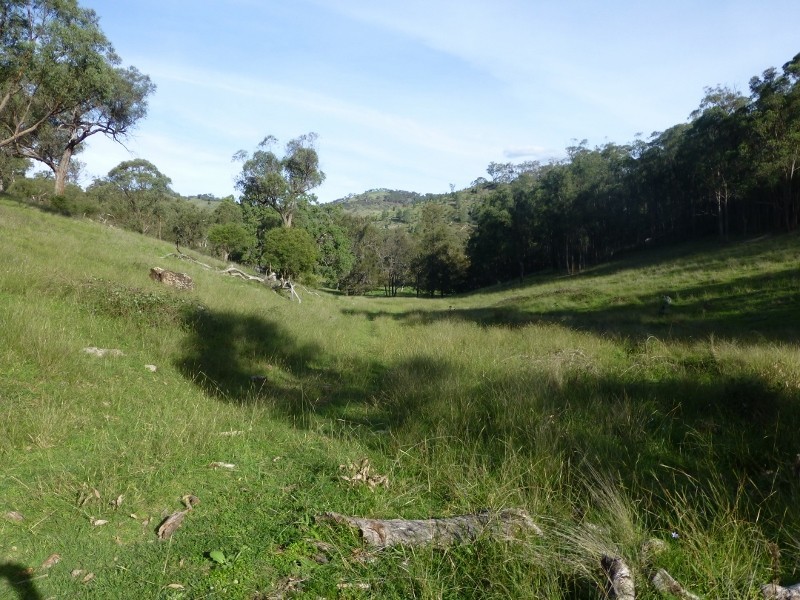 Silver Springs Danglemah Road, Woolbrook NSW 2354