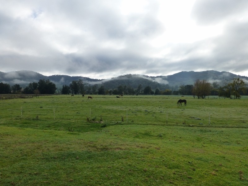 83 Dungowan Creek Road, Dungowan NSW 2340