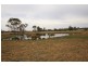 1356 Comboyne Road, Killabakh NSW 2429