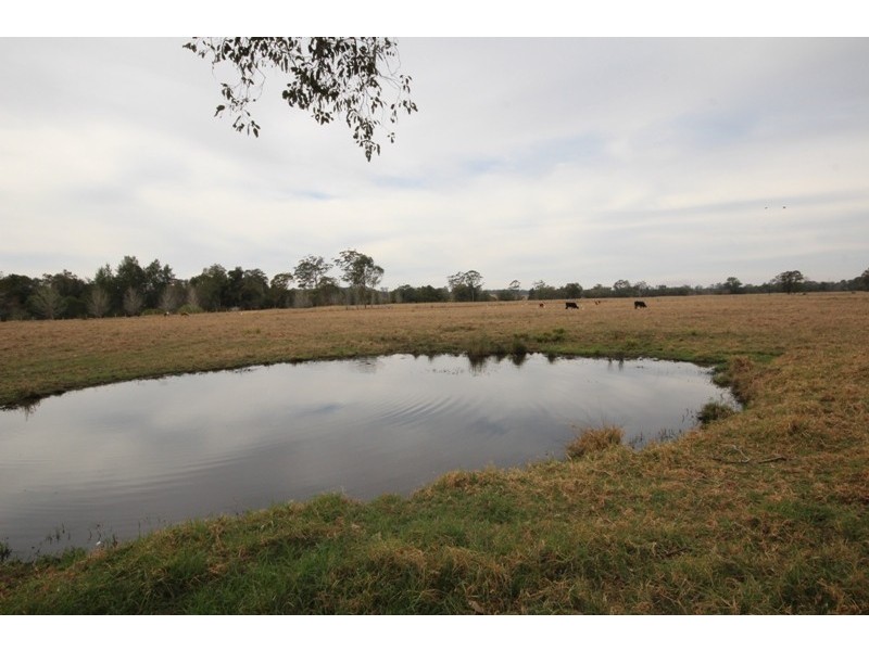 1356 Comboyne Road, Killabakh NSW 2429