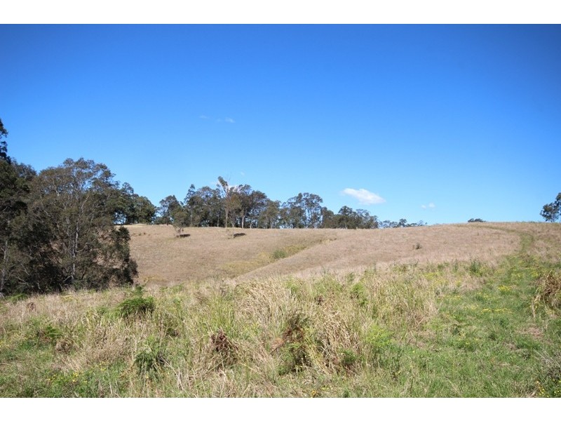 359 Bungay Road, Wingham NSW 2429