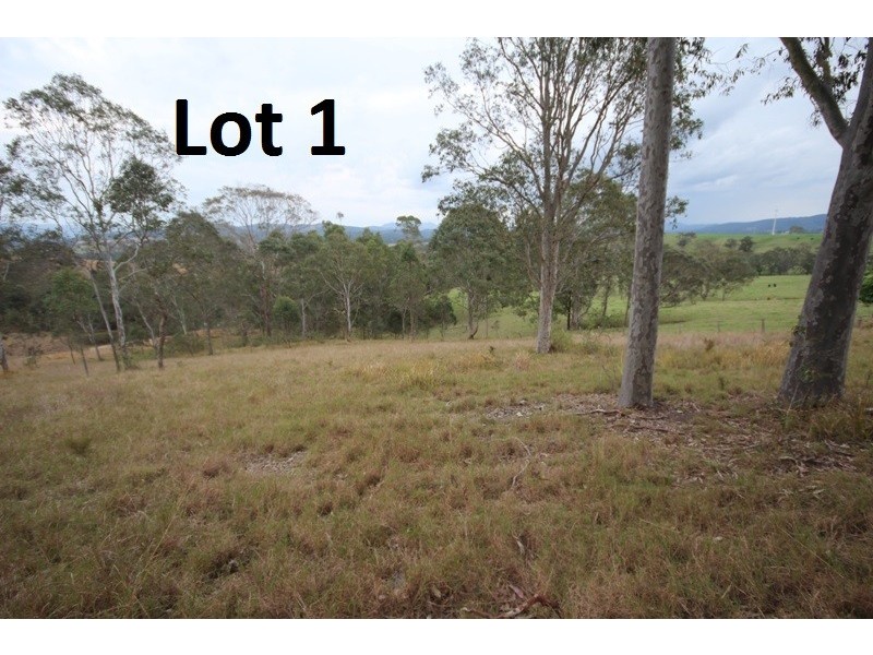 359 Bungay Road, Wingham NSW 2429