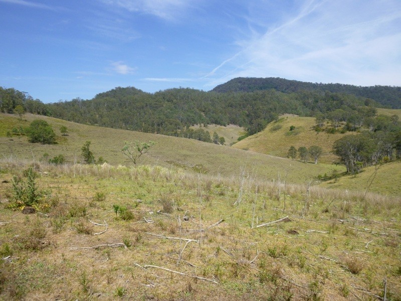 Lots Off Nowendoc Road, Cooplacurripa NSW 2424