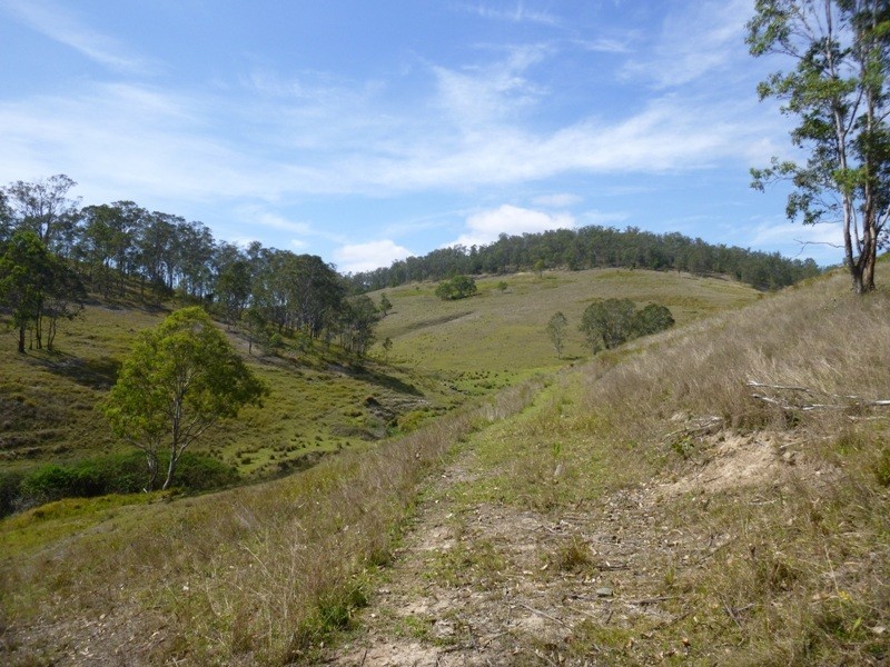 Lots Off Nowendoc Road, Cooplacurripa NSW 2424