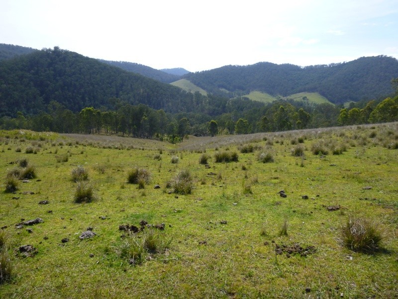 Lots Off Nowendoc Road, Cooplacurripa NSW 2424