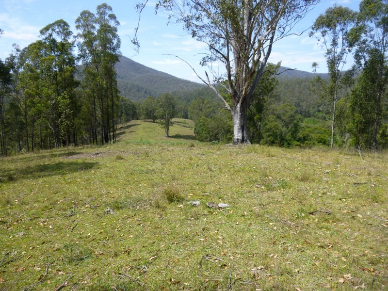 Lots Off Nowendoc Road, Cooplacurripa NSW 2424