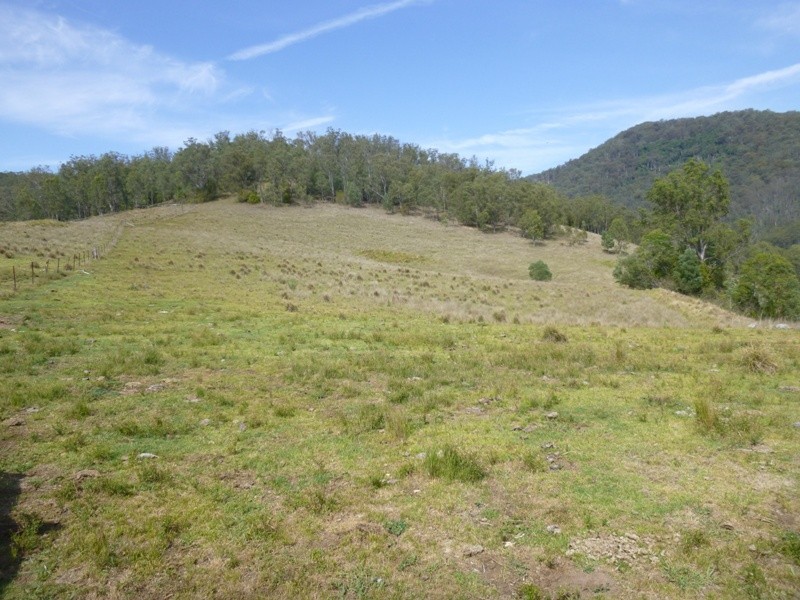 Lots Off Nowendoc Road, Cooplacurripa NSW 2424