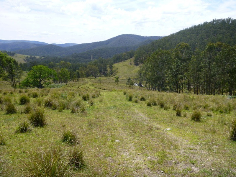 Lots Off Nowendoc Road, Cooplacurripa NSW 2424