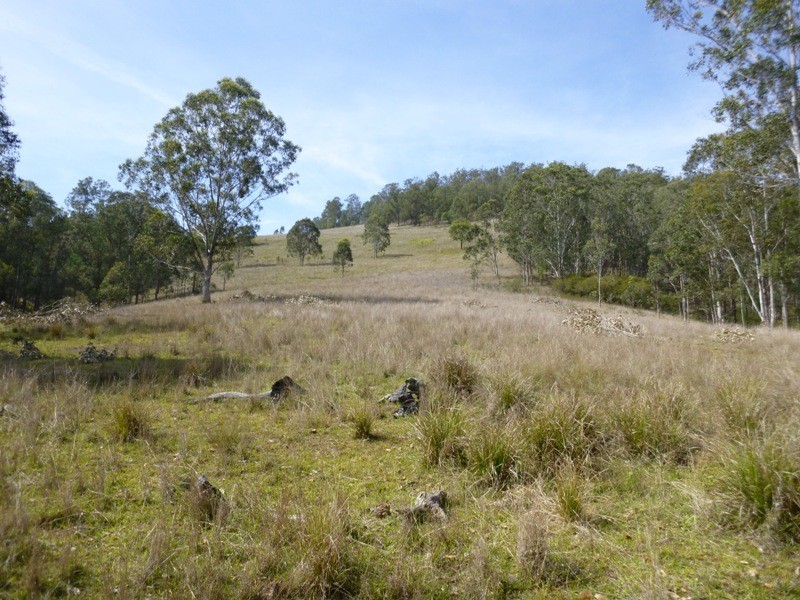 Lots Off Nowendoc Road, Cooplacurripa NSW 2424
