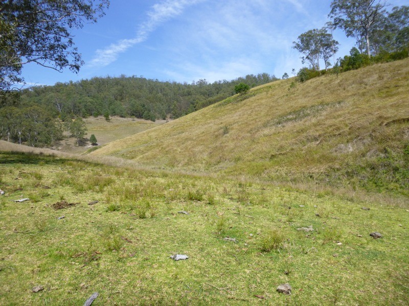 Lots Off Nowendoc Road, Cooplacurripa NSW 2424