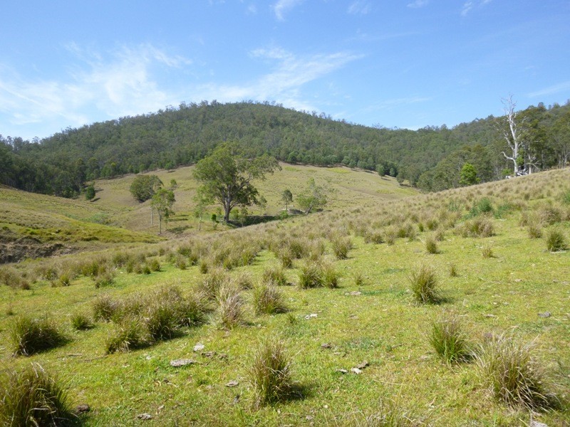 Lots Off Nowendoc Road, Cooplacurripa NSW 2424