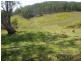 Lots Off Nowendoc Road, Cooplacurripa NSW 2424