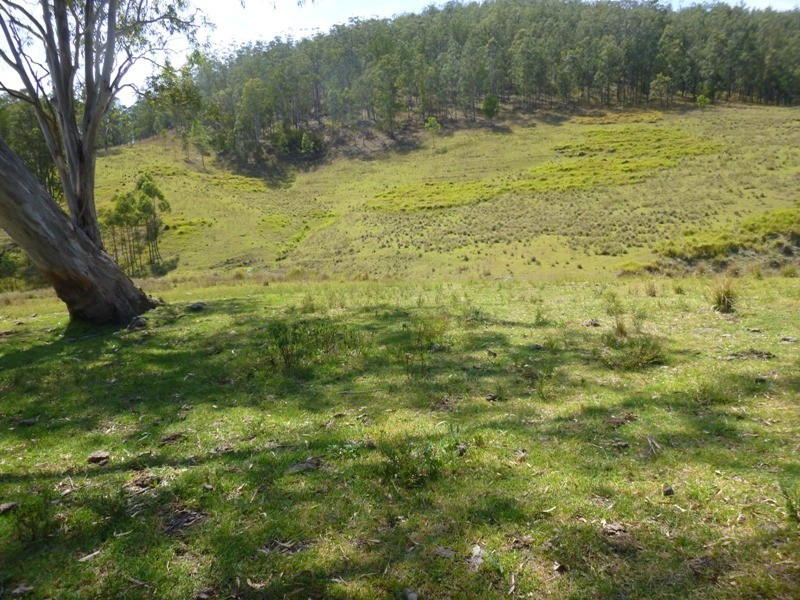 Lots Off Nowendoc Road, Cooplacurripa NSW 2424