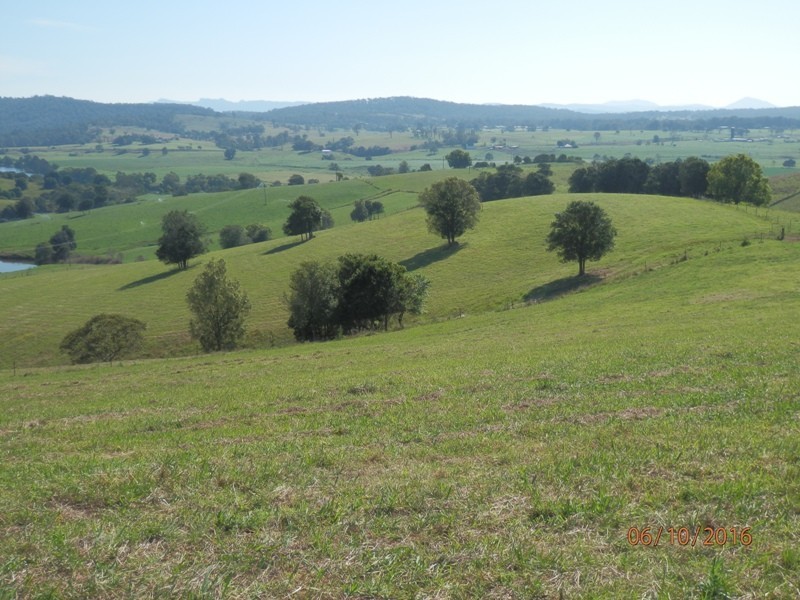 78 Jonela Road, Mondrook NSW 2430