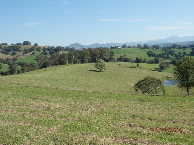78 Jonela Road, Mondrook NSW 2430