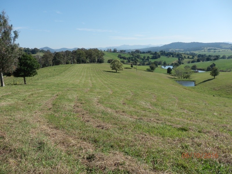 78 Jonela Road, Mondrook NSW 2430