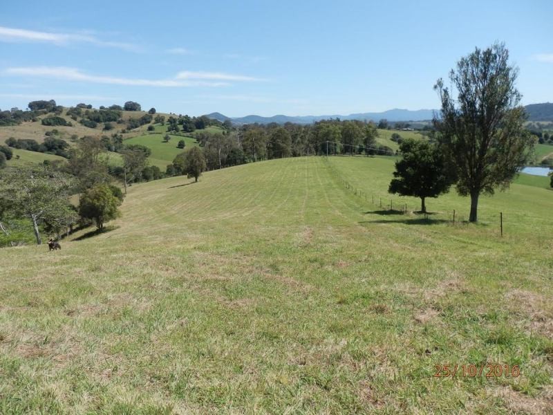 78 Jonela Road, Mondrook NSW 2430