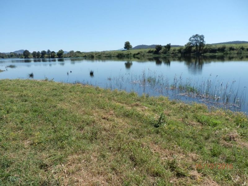 78 Jonela Road, Mondrook NSW 2430