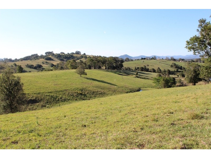 78 Jonela Road, Mondrook NSW 2430