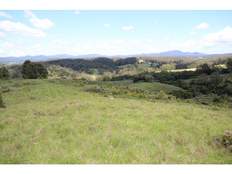 Lot 5 Tilbaroo Road, Elands NSW 2429
